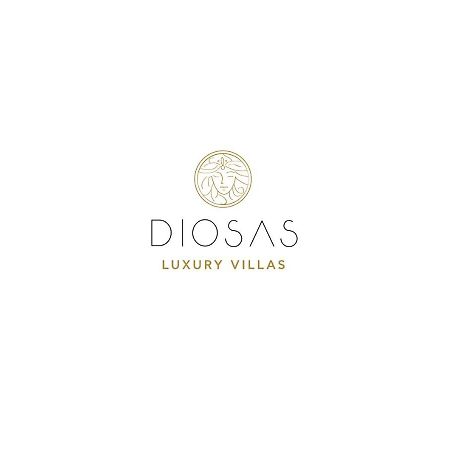 Diosas Luxury Villas Andipáta Εξωτερικό φωτογραφία