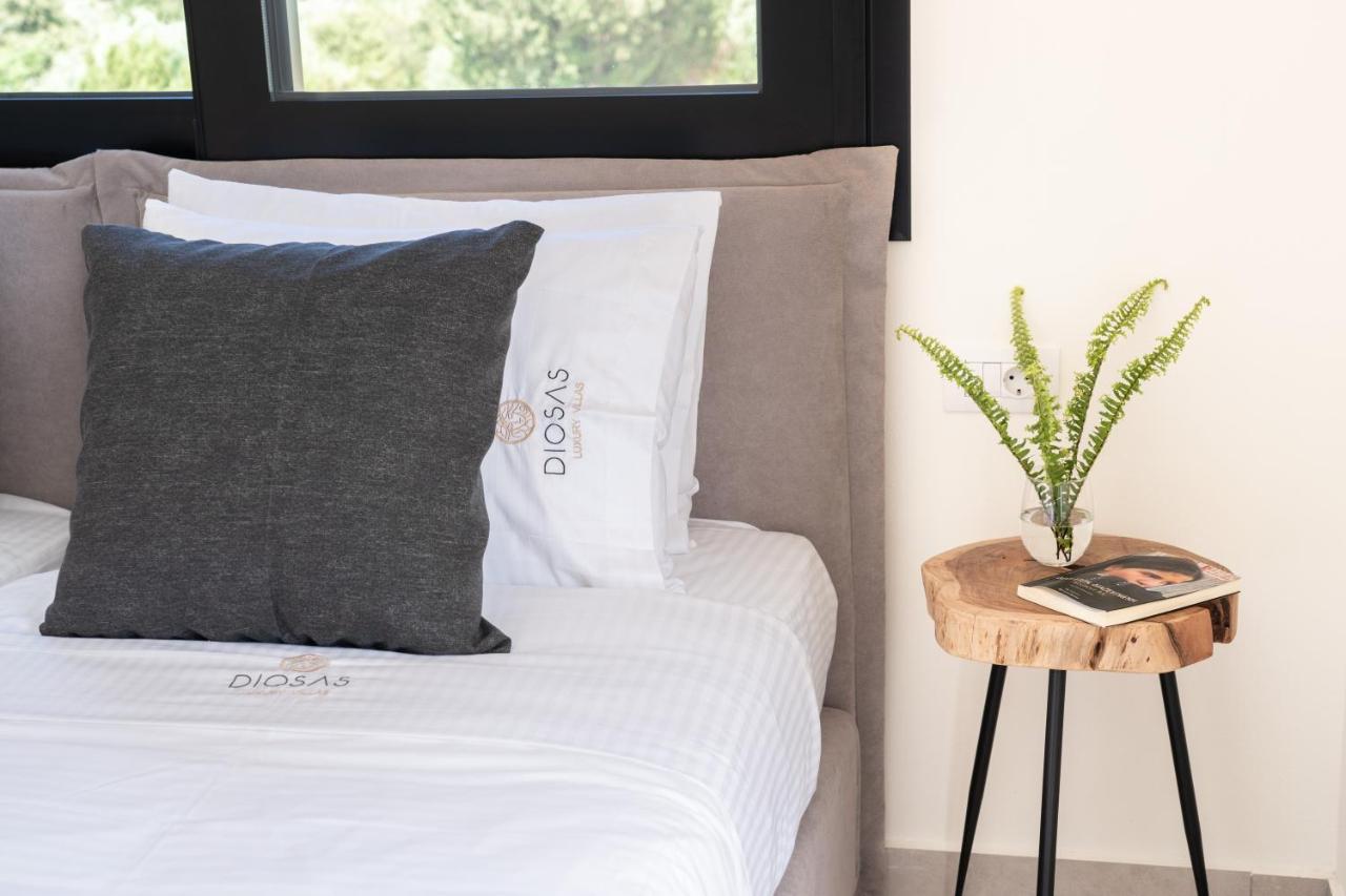 Diosas Luxury Villas Andipáta Εξωτερικό φωτογραφία
